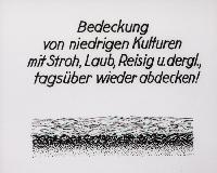 Bild 8654