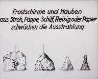 Bild 8655