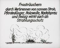 Bild 8656