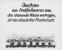 Bild 8661