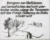 Bild 8662