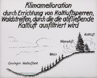 Bild 8664