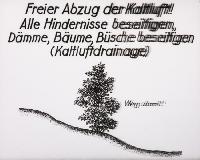 Bild 8665