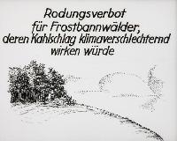 Bild 8666