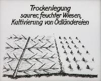 Bild 8667