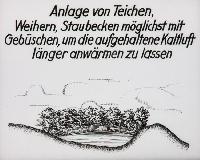 Bild 8668