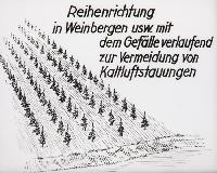 Bild 8669