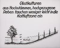 Bild 8670