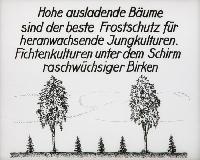Bild 8672