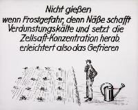 Bild 8675