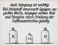 Bild 8676