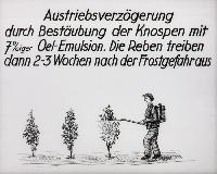 Bild 8677