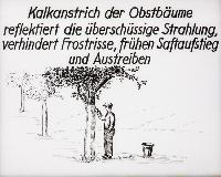 Bild 8678