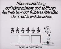 Bild 8679