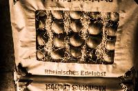 Bild 8693