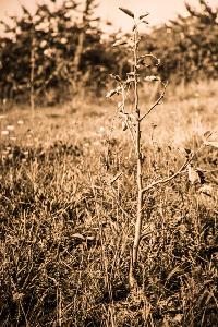 Bild 8734