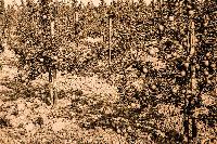 Bild 8740