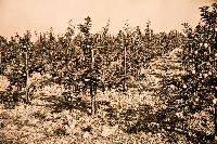Bild 8746
