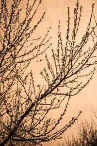 Bild 8821