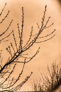 Bild 8822