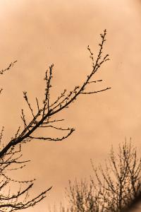 Bild 8823