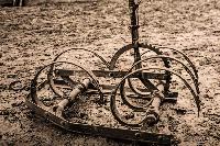 Bild 8871