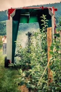 Bild 9017