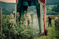 Bild 9018