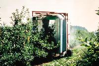 Bild 9019