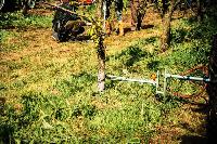 Bild 9035