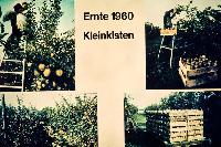Bild 9048