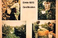 Bild 9049
