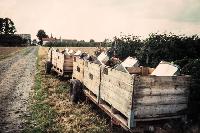 Bild 9052