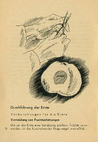 Bild 9088
