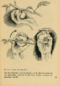 Bild 9089