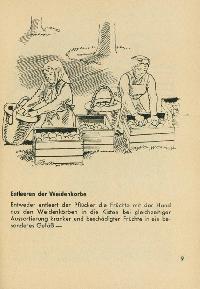 Bild 9095