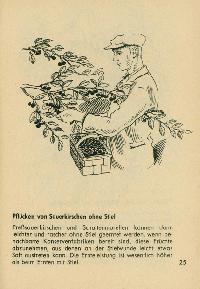 Bild 9101