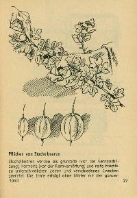 Bild 9103