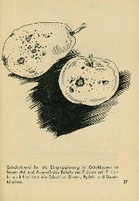 Bild 9113