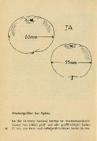 Bild 9120
