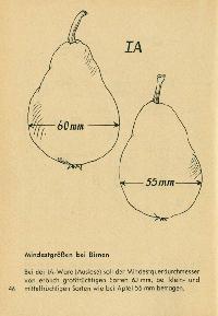 Bild 9122