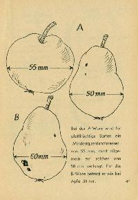 Bild 9123