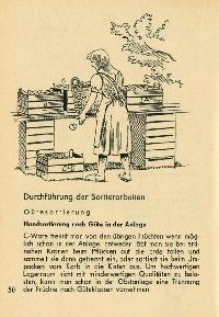Bild 9126