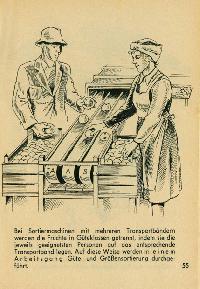 Bild 9131
