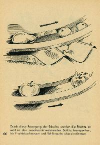 Bild 9142