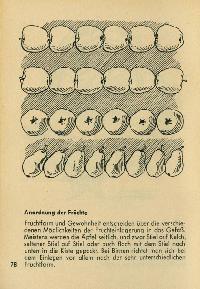 Bild 9154