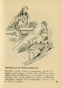 Bild 9161