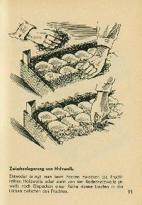 Bild 9167