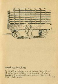 Bild 9187