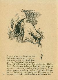 Bild 9204